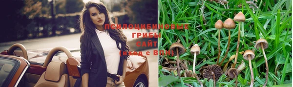 мдпв Костерёво