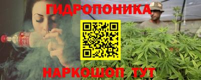 шишки Изобильный