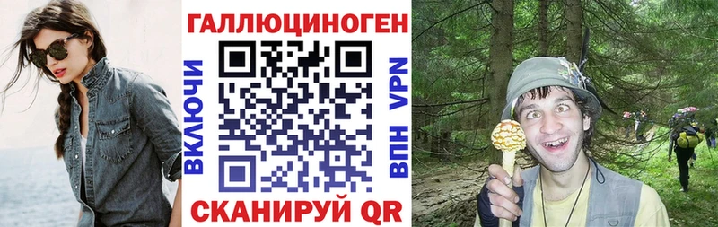 Псилоцибиновые грибы ЛСД  блэк спрут как зайти  Новошахтинск 
