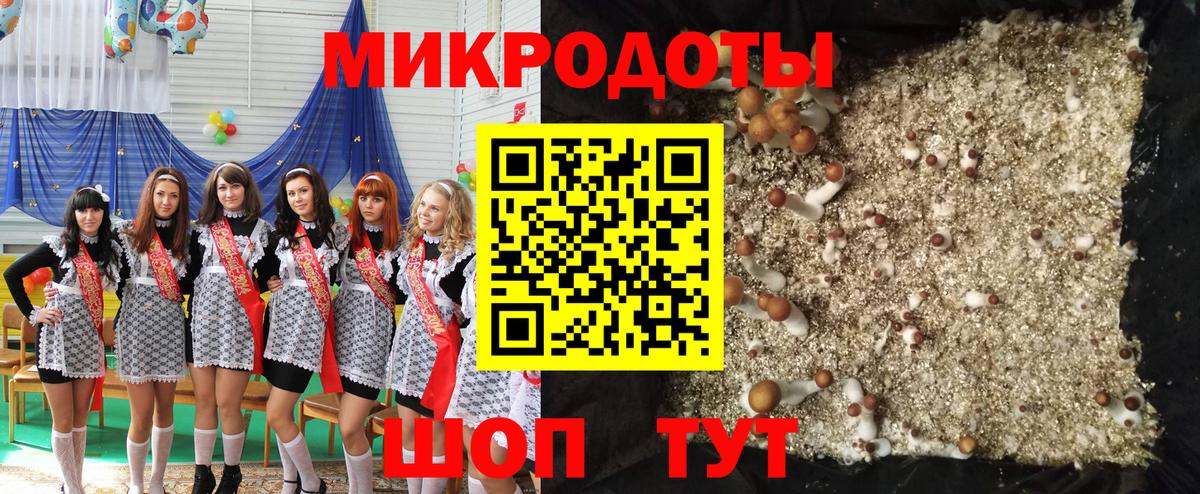 Новошахтинск  Галлюциногенные грибы MAGIC MUSHROOMS  Вход с VPN 
